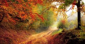 L'automne du syndicalisme ?