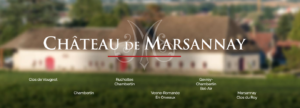Chateau de Marsannay